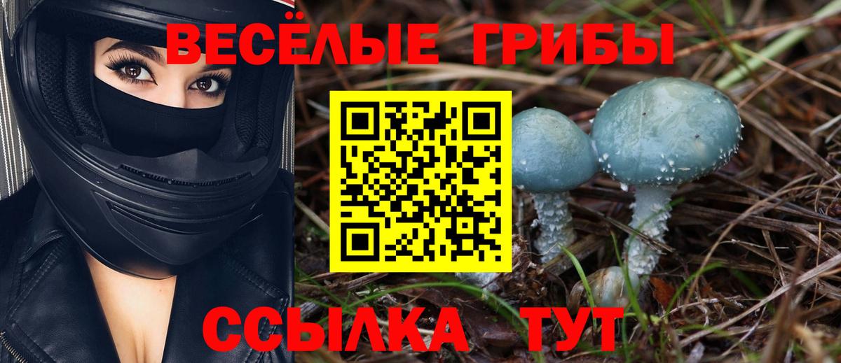 Шебекино  Галлюциногенные грибы Psilocybine cubensis  Псилоцибиновые грибы Magic Shrooms  Вход с VPN 